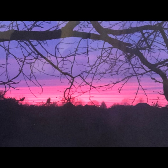 Meet your Posher, Renee - Picture 1 of 1